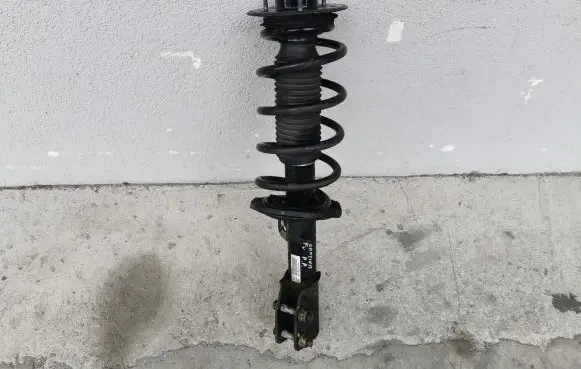Chevrolet Captiva Front shock absorber/damper