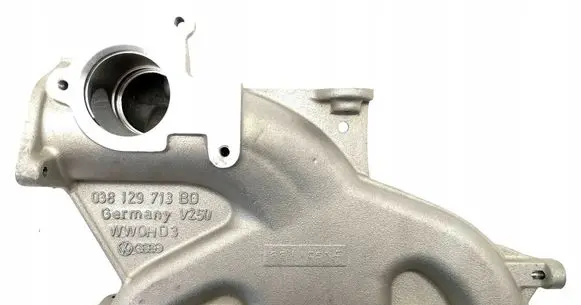Volkswagen Beetle A5 Intake manifold 038129713BD