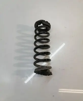 Land Rover Discovery Sport Rear coil spring FK725B749