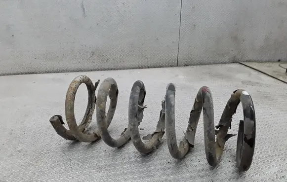 Chevrolet Captiva Rear coil spring