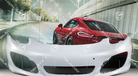 Porsche Boxster 981 Front bumper 981505010A3