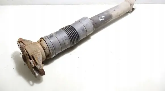 Chrysler Grand Voyager V Rear shock absorber/damper