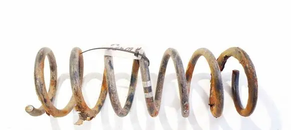 Rear coil spring