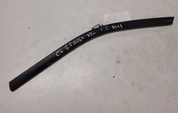 Citroen C4 Grand Picasso Front door glass trim molding