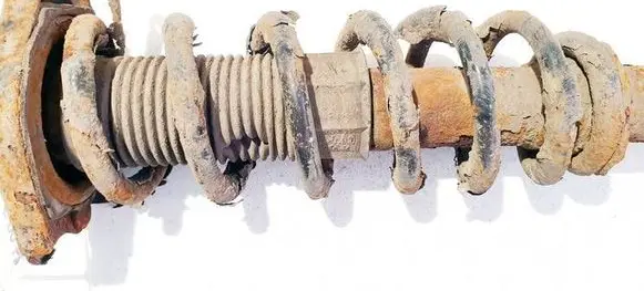 Rear coil spring