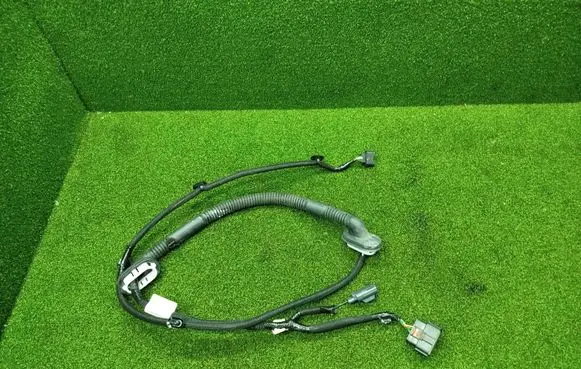 Rear door wiring loom
