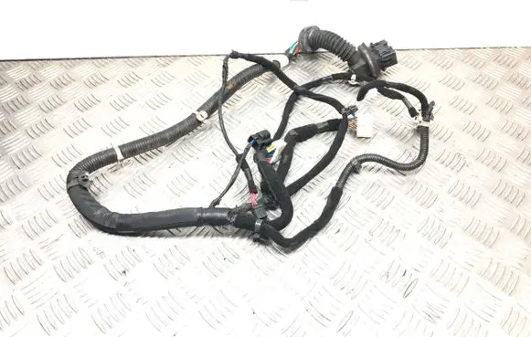 Hyundai Santa Fe Front door wiring loom 9181026101 03A10035 031112