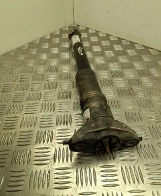 Opel Corsa F Rear shock absorber/damper 9834826580