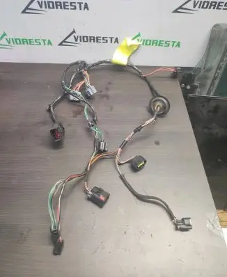 Rear door wiring loom