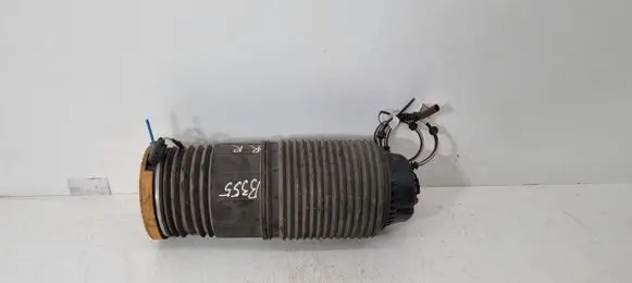 Bentley Continental Shock absorber/damper/air suspension 971616026E