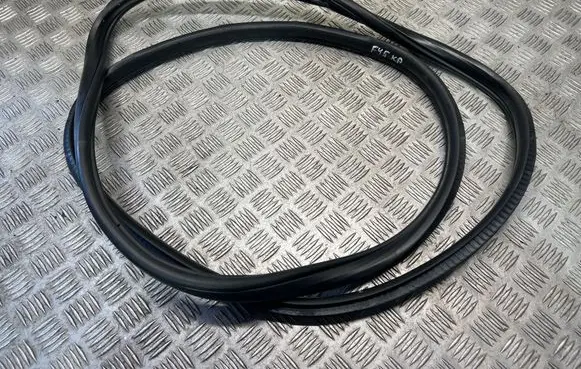 BMW 2 F45 Rubber seal front door (on door) 