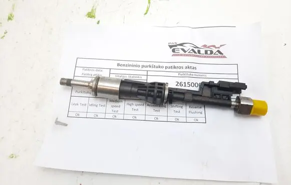 BMW 5 GT F07 Fuel injector 0261500063