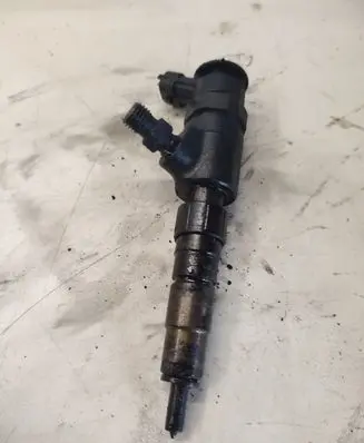 Citroen C3 Fuel injector