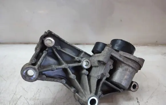 Renault Scenic III - Grand scenic III Generator/alternator bracket 117102017R