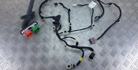 Peugeot 208 Front door wiring loom 9834118380