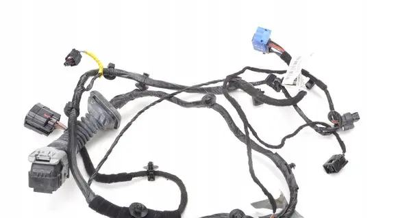 Maserati Ghibli Other wiring loom DRZWI LEWY PRZÓD 06700066730