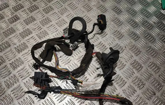 Rear door wiring loom