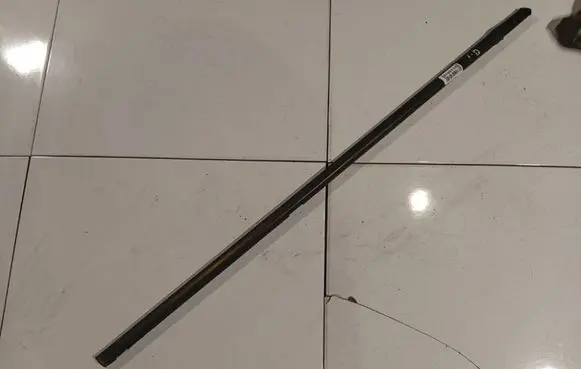 Renault Scenic II - Grand scenic II Front door glass trim molding