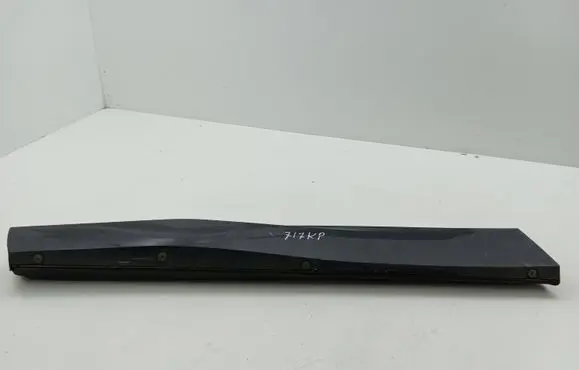 Rear door trim (molding)