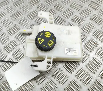 Ford Mustang Mach-E Brake fluid reservoir LJ9C2N147BA
