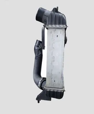 Nissan Juke I F15 Intercooler radiator SHA1393003 144601K00B
