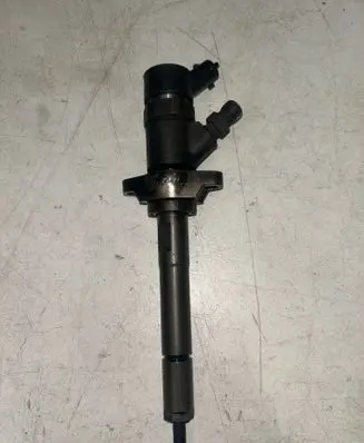 Peugeot 307 Fuel injector 0445110259