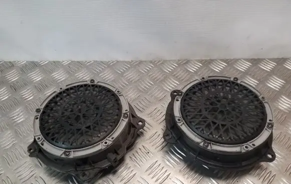Citroen C5 Rear door speaker