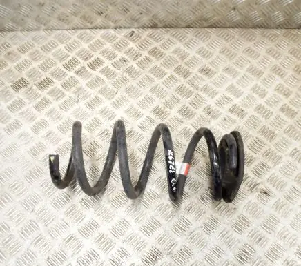 Tesla Model 3 Rear coil spring 104447201E