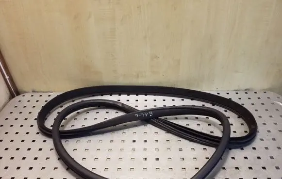 Honda Accord Rear door rubber seal (on body) 
