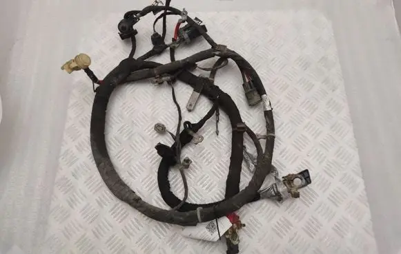 Engine installation wiring loom