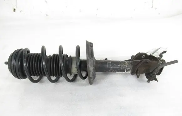 Fiat Punto (199) Front shock absorber with coil spring