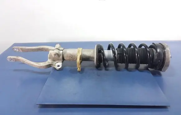 BMW M5 Front shock absorber with coil spring 7856894