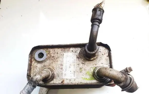 Volkswagen Phaeton Engine oil radiator 