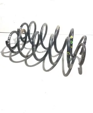 Front coil spring