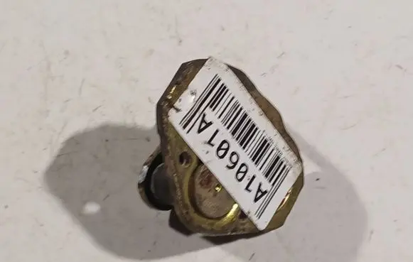 Renault Scenic I Rear door lock loop/hook striker 