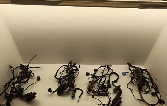 BMW 6 F06 Gran coupe Front door wiring loom 7076576 9255396