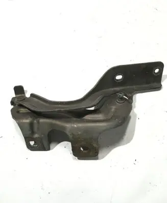 Nissan Murano Z51 Engine bonnet/hood hinges 1AAL