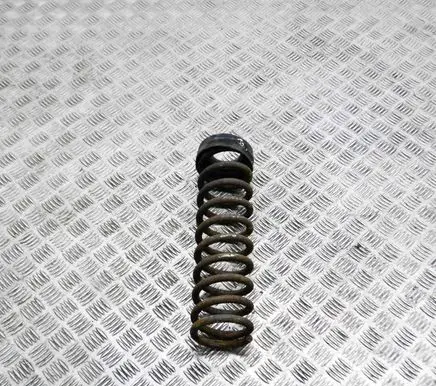 Front coil spring