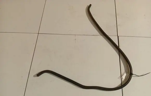 Engine compartment rubber