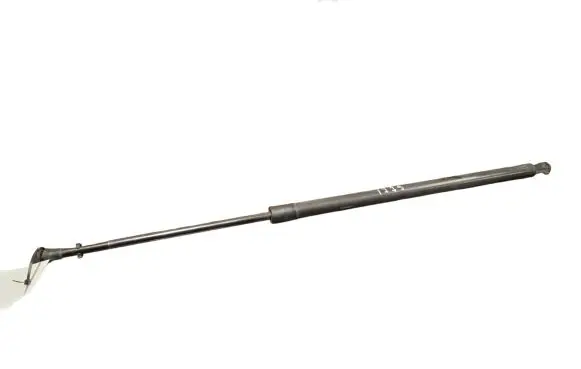 Renault Scenic III - Grand scenic III Tailgate/trunk strut/damper 904517337R