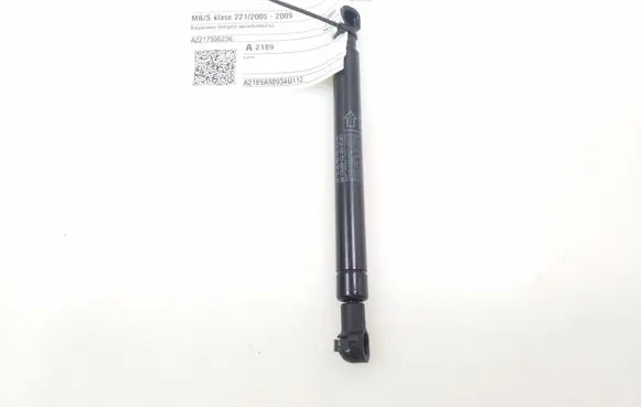 Tailgate strut