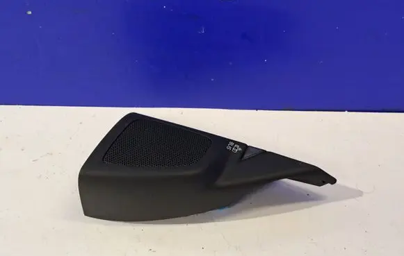 Front door speaker