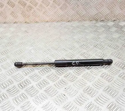 Tesla Model 3 Tailgate/trunk strut/damper 109156000B