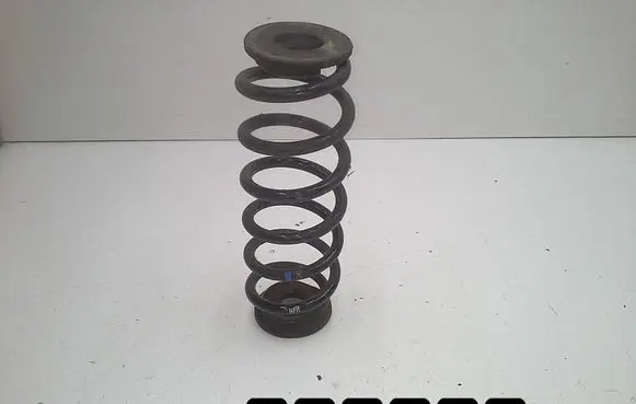 Volkswagen Tiguan Front coil spring