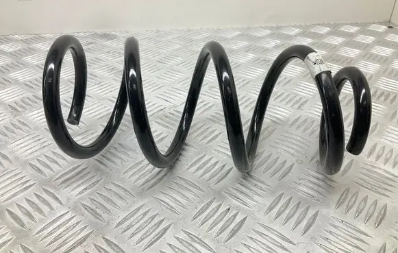 Front coil spring