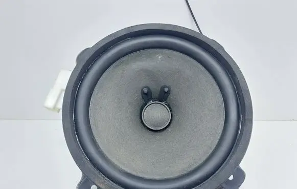 Opel Antara Front door speaker 25907868