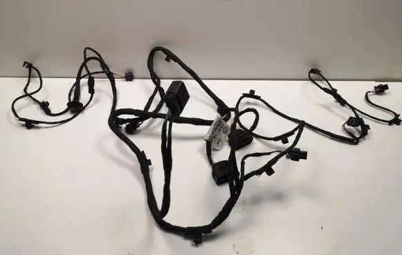 Volkswagen ID.4 Other wiring loom 11A971095AK