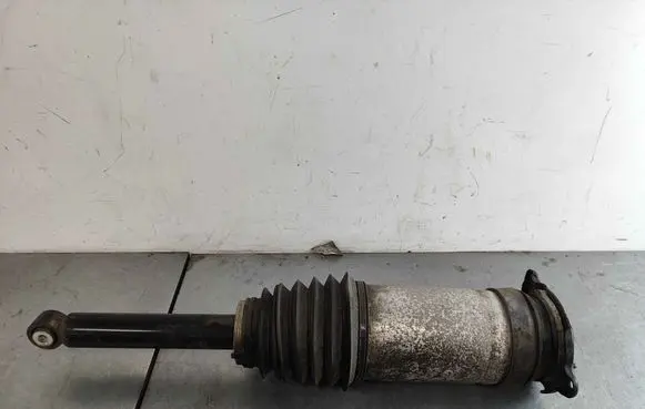 Tesla Model S Rear shock absorber/damper 106746125C