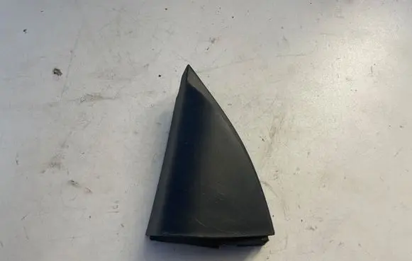 Other front door trim element