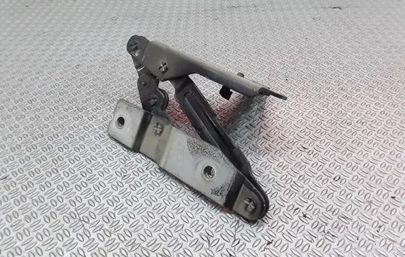 Seat Toledo III (5P) Engine bonnet/hood hinges 5P08233028